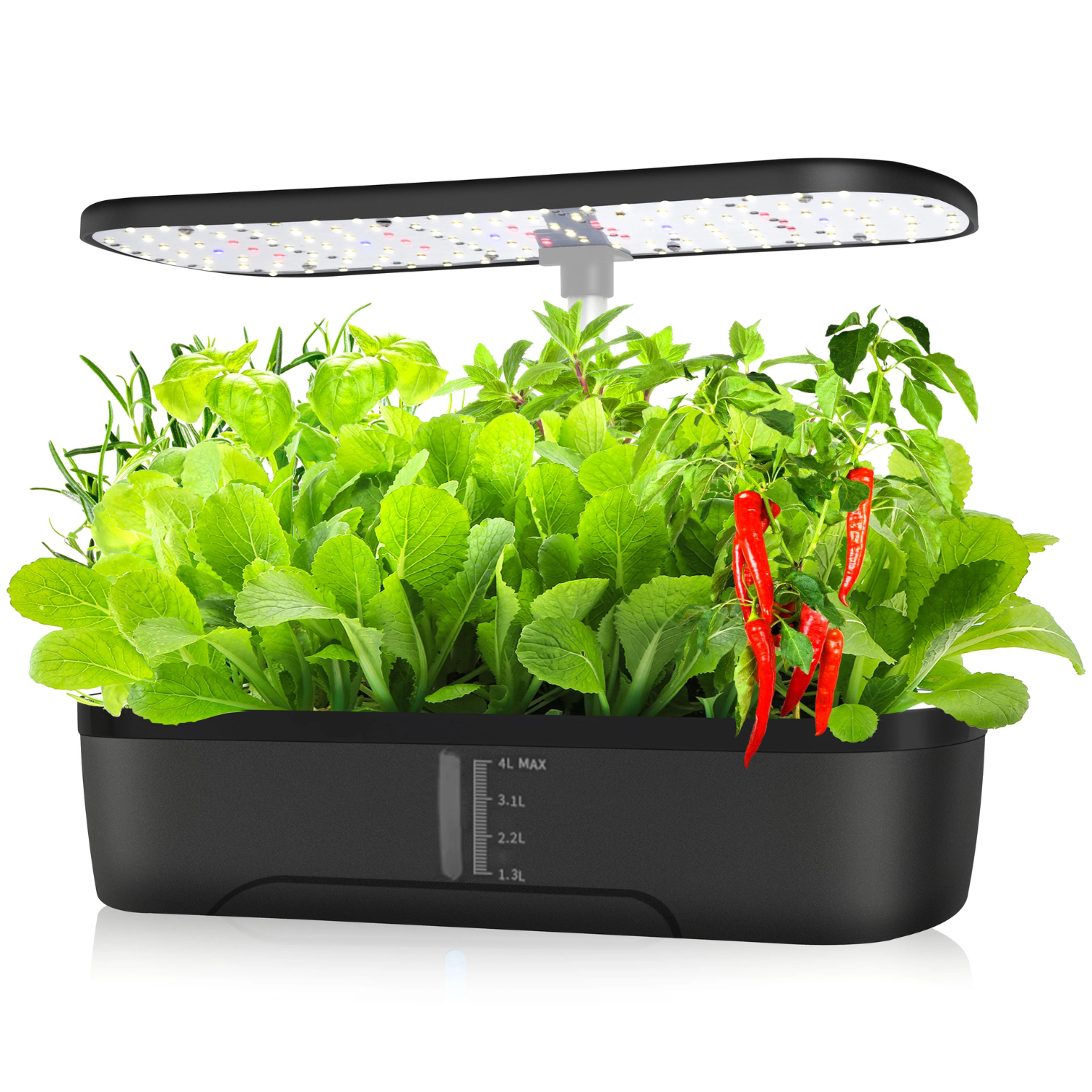 Grow Fresh Herbs at Home in Just 7 Days 🌱 (12 Pods Hydroponics Growing System)