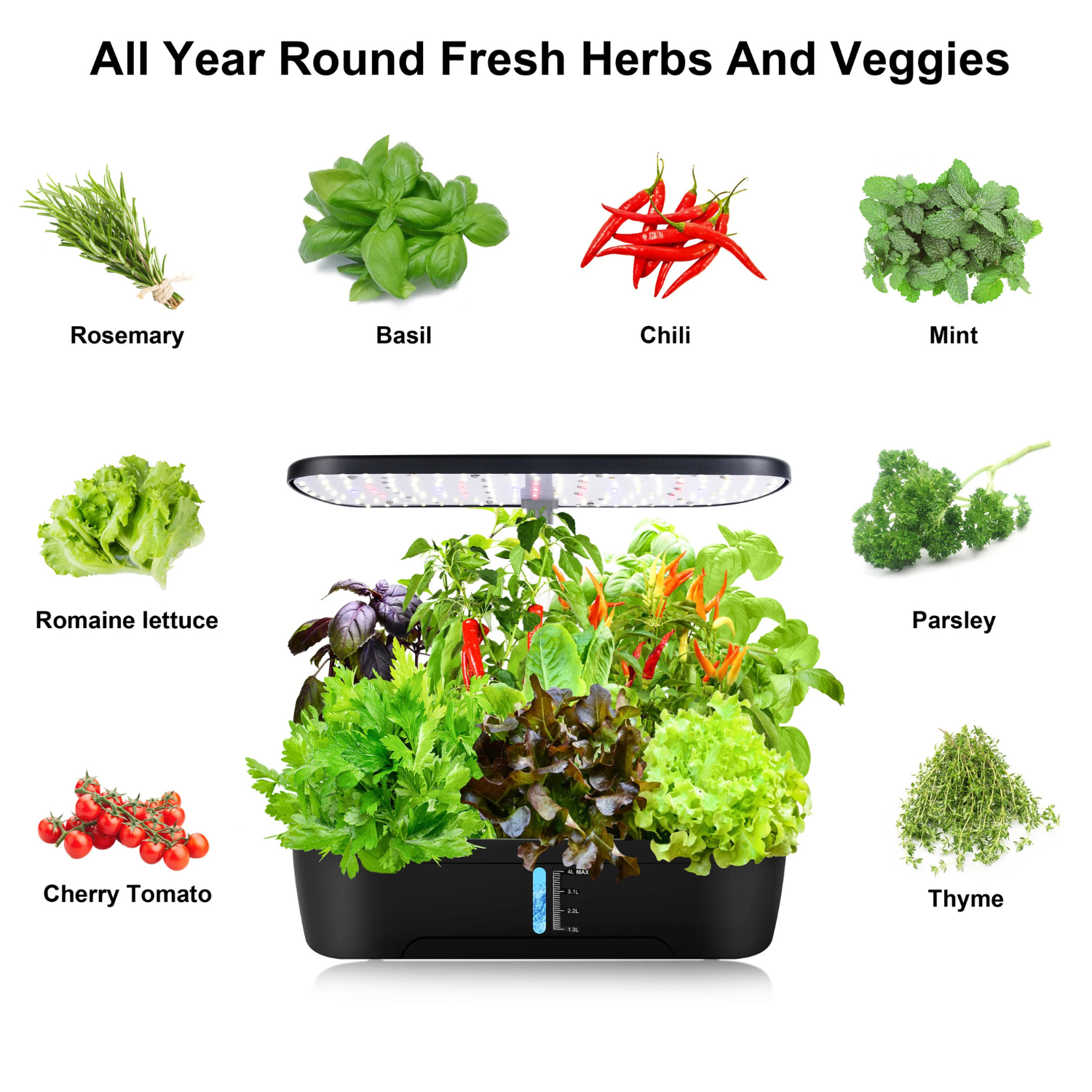 Grow Fresh Herbs at Home in Just 7 Days 🌱 (12 Pods Hydroponics Growing System)