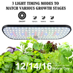 Grow Fresh Herbs at Home in Just 7 Days 🌱 (12 Pods Hydroponics Growing System)